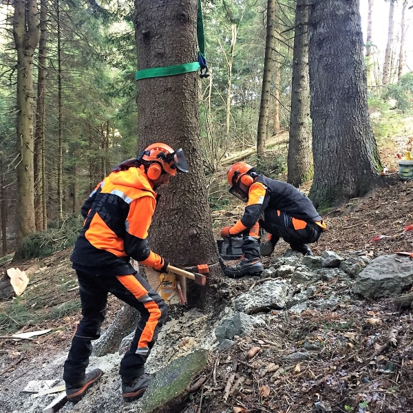 24-25-26-27 MARZO 2025 - CORSO DI TREECLIMBING BASE + MODULO B