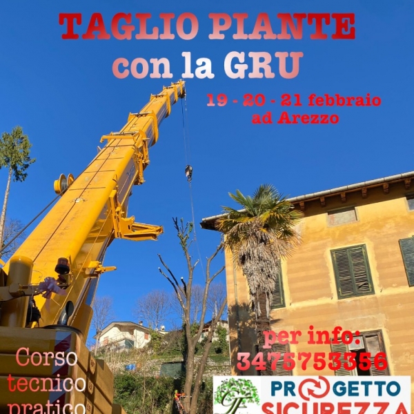 20-21-22 LUGLIO 2026   CORSO PRATICO ABBATTIMENTO CONTROLLATO CON AUTOGRU