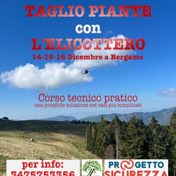 14-15-16/12/2023 OSSERVATORE: TAGLIO PIANTE CON ELICOTTERO