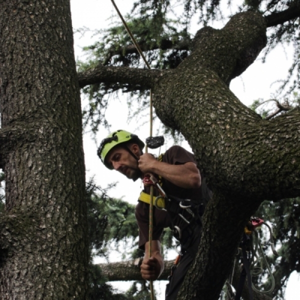 17-18-19-20 NOVEMBRE 2025 - CORSO DI TREECLIMBING BASE + MODULO B